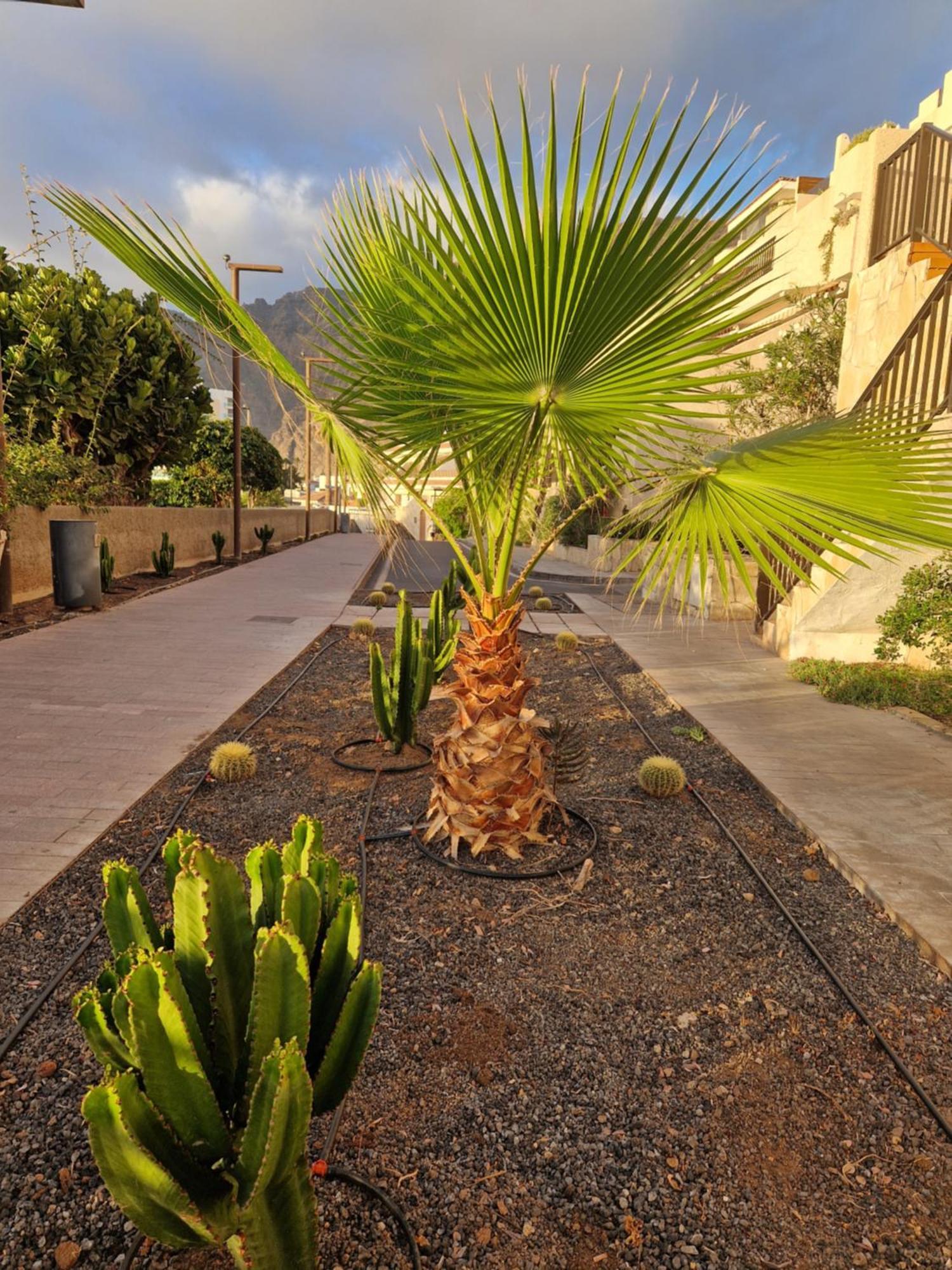 Studia Puerto De Santiago Apartment Puerto de Santiago  Ngoại thất bức ảnh